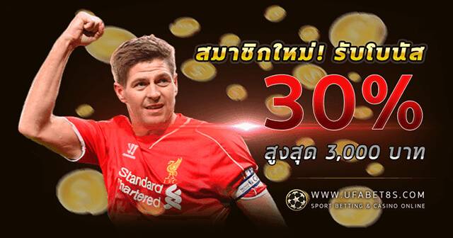 สมาชิกใหม่รับ 30%